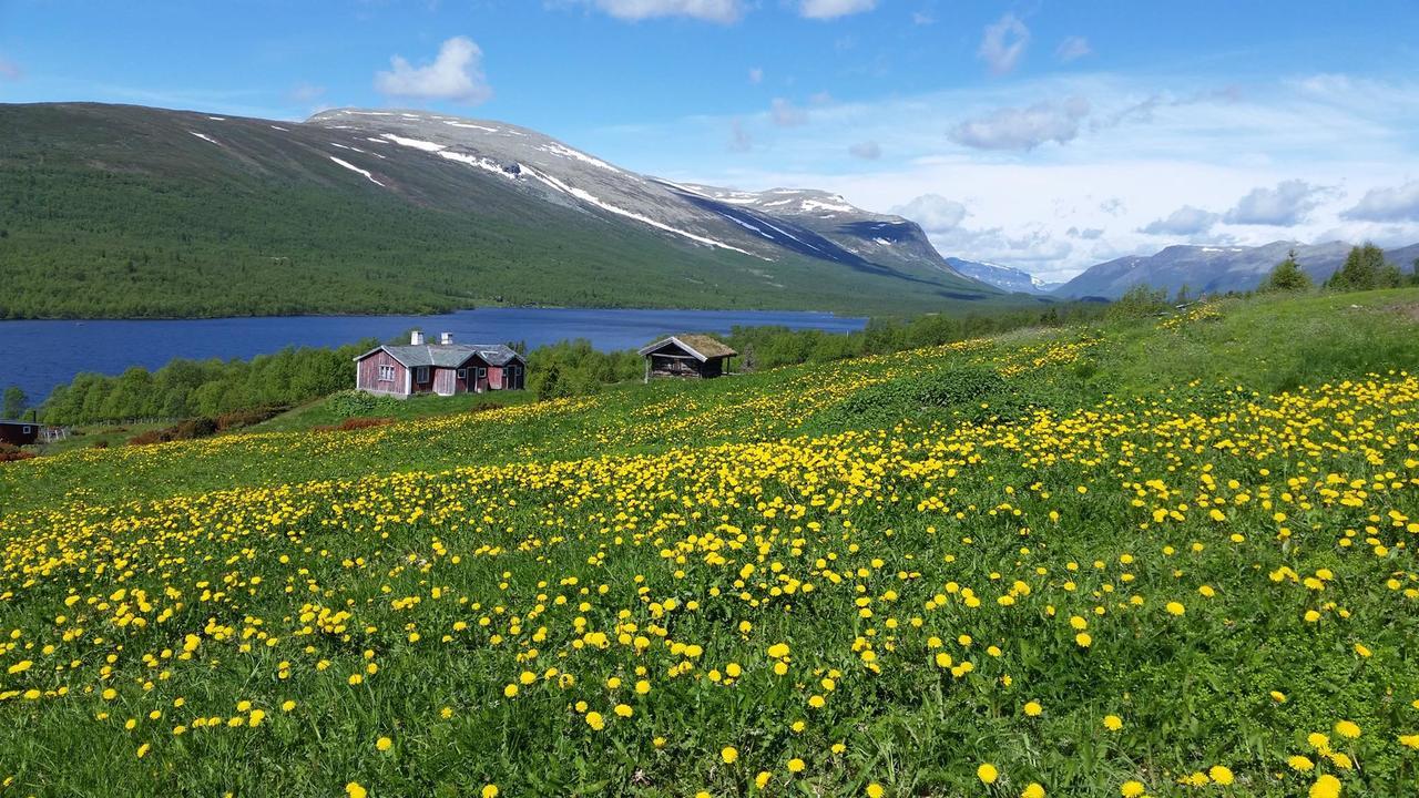 Gomobu Fjellstue Hotel Ron Exterior foto